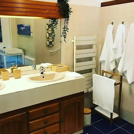 ヴィラ De Charme Parc Fleuri, Arbore Et Piscine A *