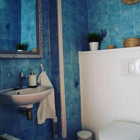 De Charme Parc Fleuri, Arbore Et Piscine A ビアリッツ