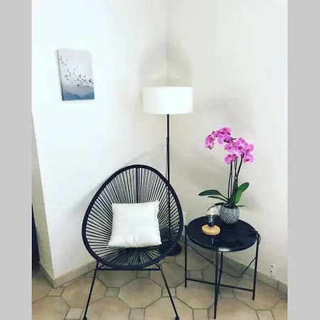De Charme Parc Fleuri, Arbore Et Piscine A * ビアリッツ