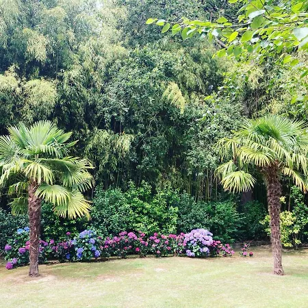 De Charme Parc Fleuri, Arbore Et Piscine A ヴィラ *