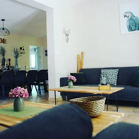 Villa De Charme Parc Fleuri, Arbore Et Piscine A Biarritz