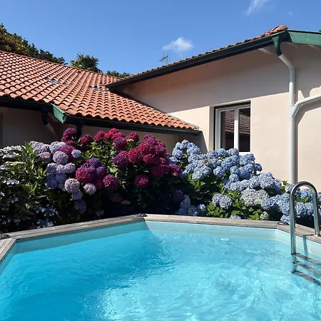Villa De Charme Parc Fleuri, Arbore Et Piscine A